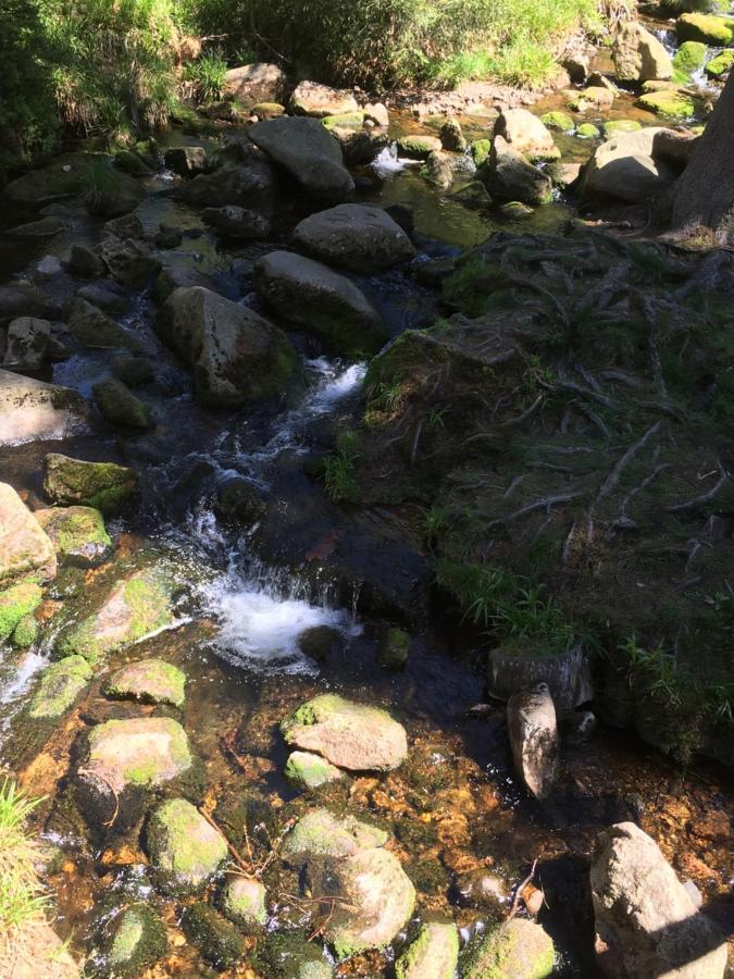 Bergwelt Braunlage